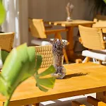 Voger Köyiçi Hotel