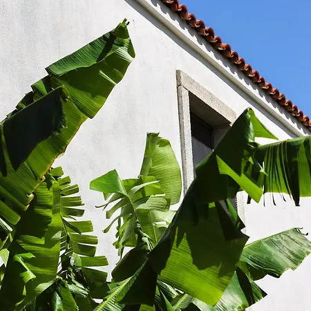 Otel Voger Köyiçi Alaçatı