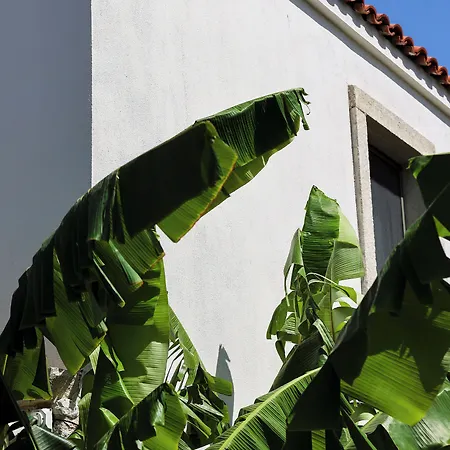 Voger Köyiçi Otel *