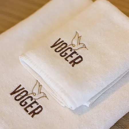 Voger Köyiçi