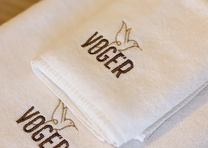 Voger Koeyici