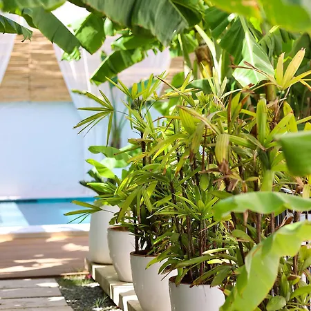Voger Koeyici Hotel Alacati